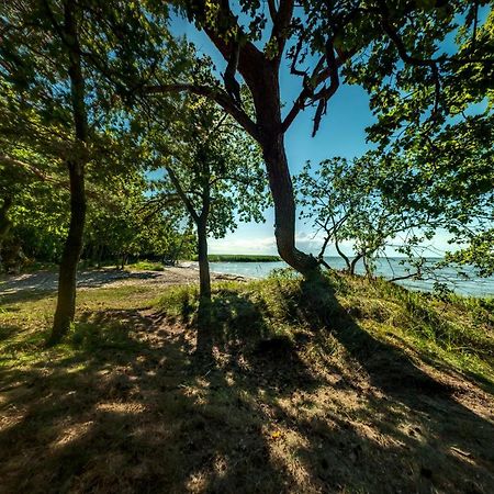 Traumhaff Historischer Kahnschifferhof Mit Kamin, Liebevoll Restauriert Vogelsang-Warsin 外观 照片